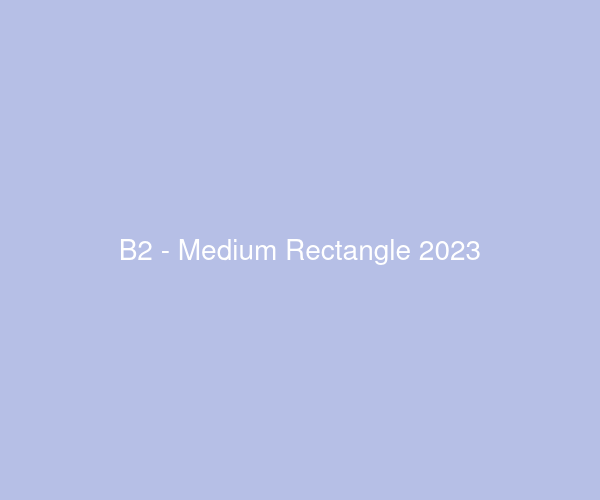 B2 - Medium Rectangle 2023